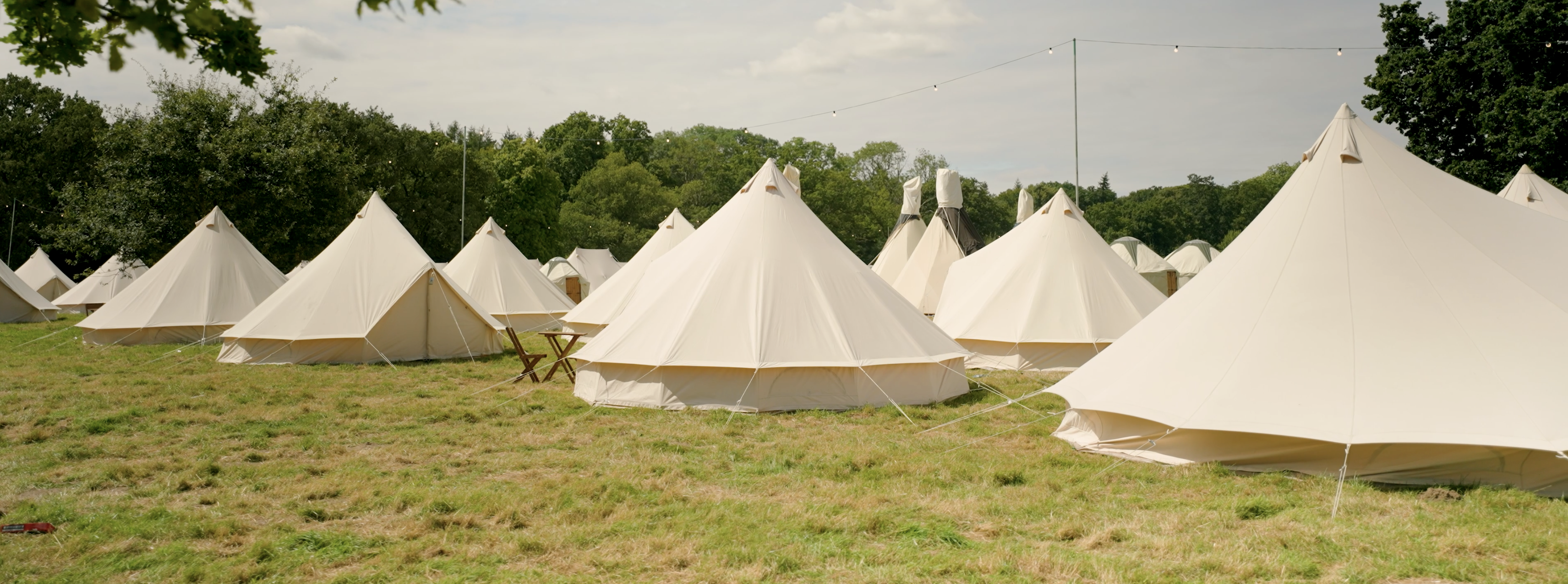 Vegan Camp Out Image